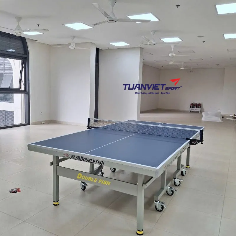 Bàn bóng bàn Double Fish 235