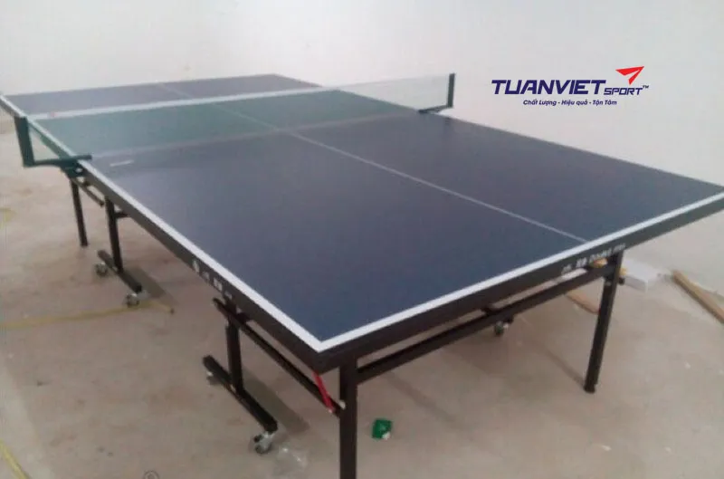 B&agrave;n b&oacute;ng b&agrave;n Double Fish DF-201S