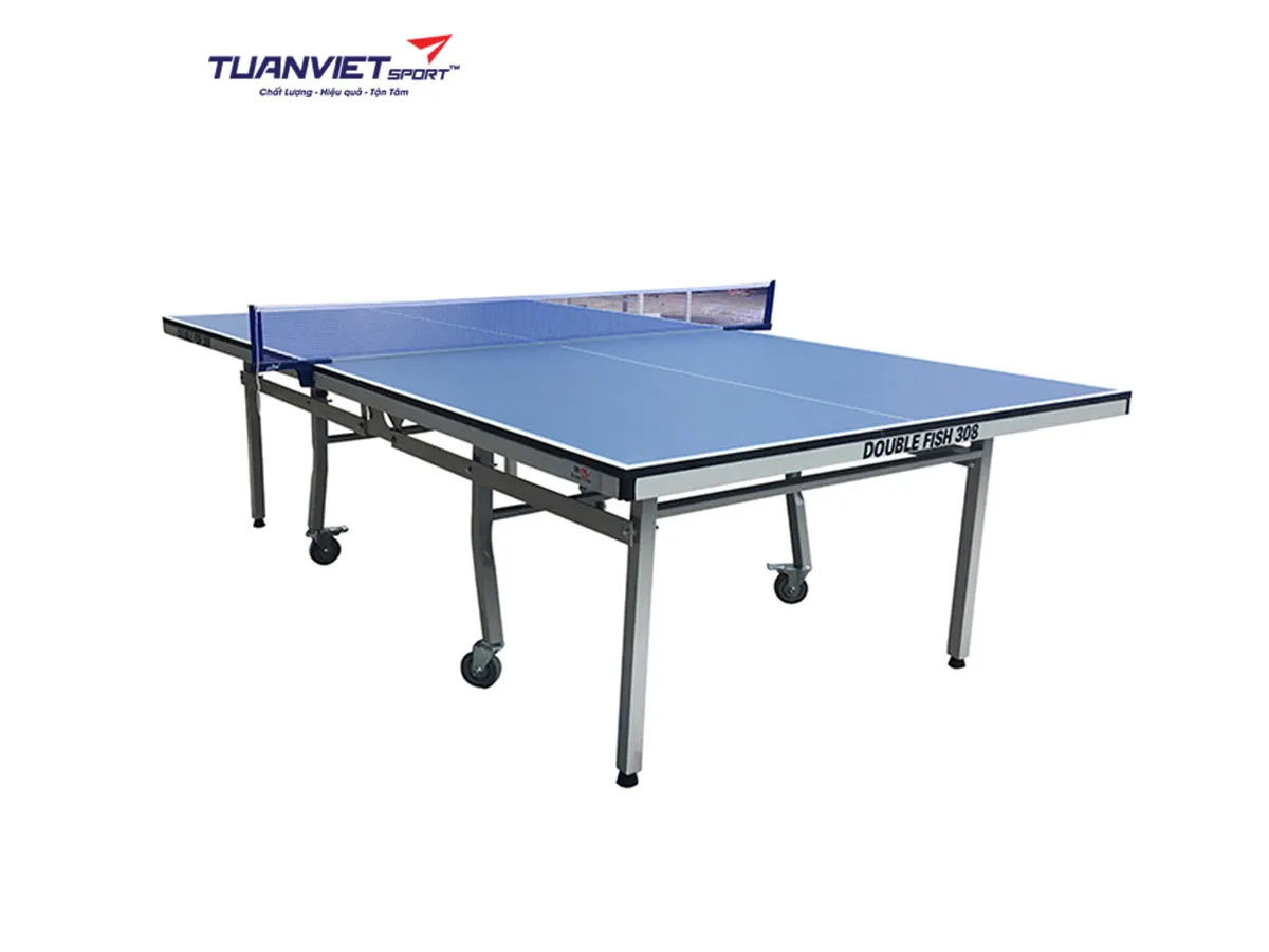 Bàn bóng bàn Double Fish DF-308