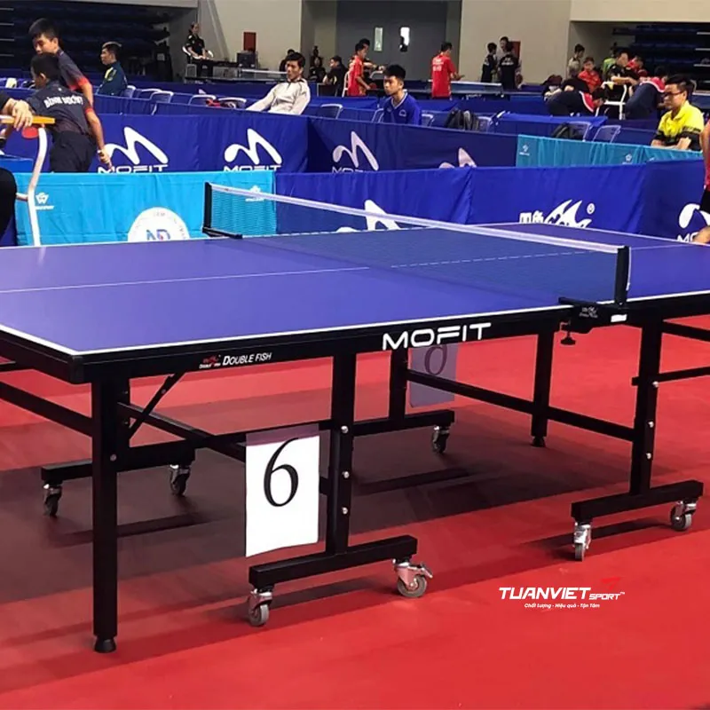 Bàn Bóng Bàn Double Fish DF201C-2