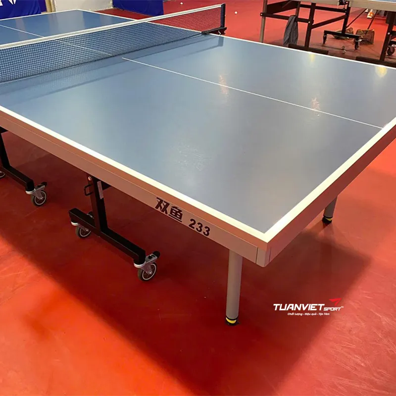 Bàn Bóng Bàn Double Fish DF233