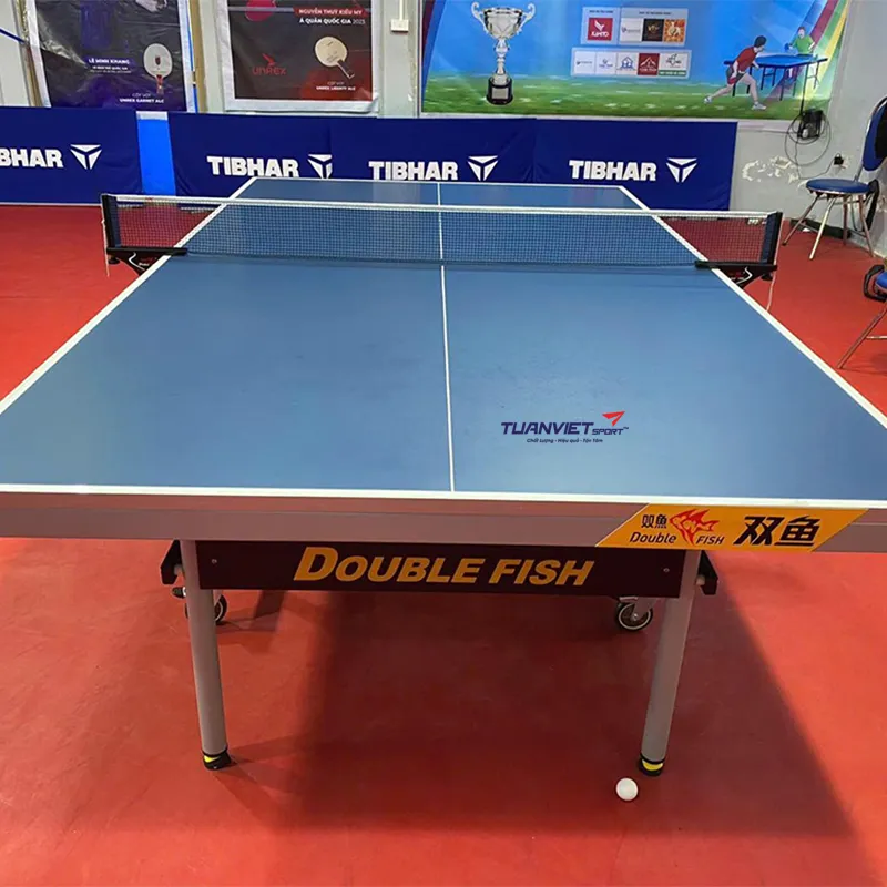 Bàn Bóng Bàn Double Fish DF233