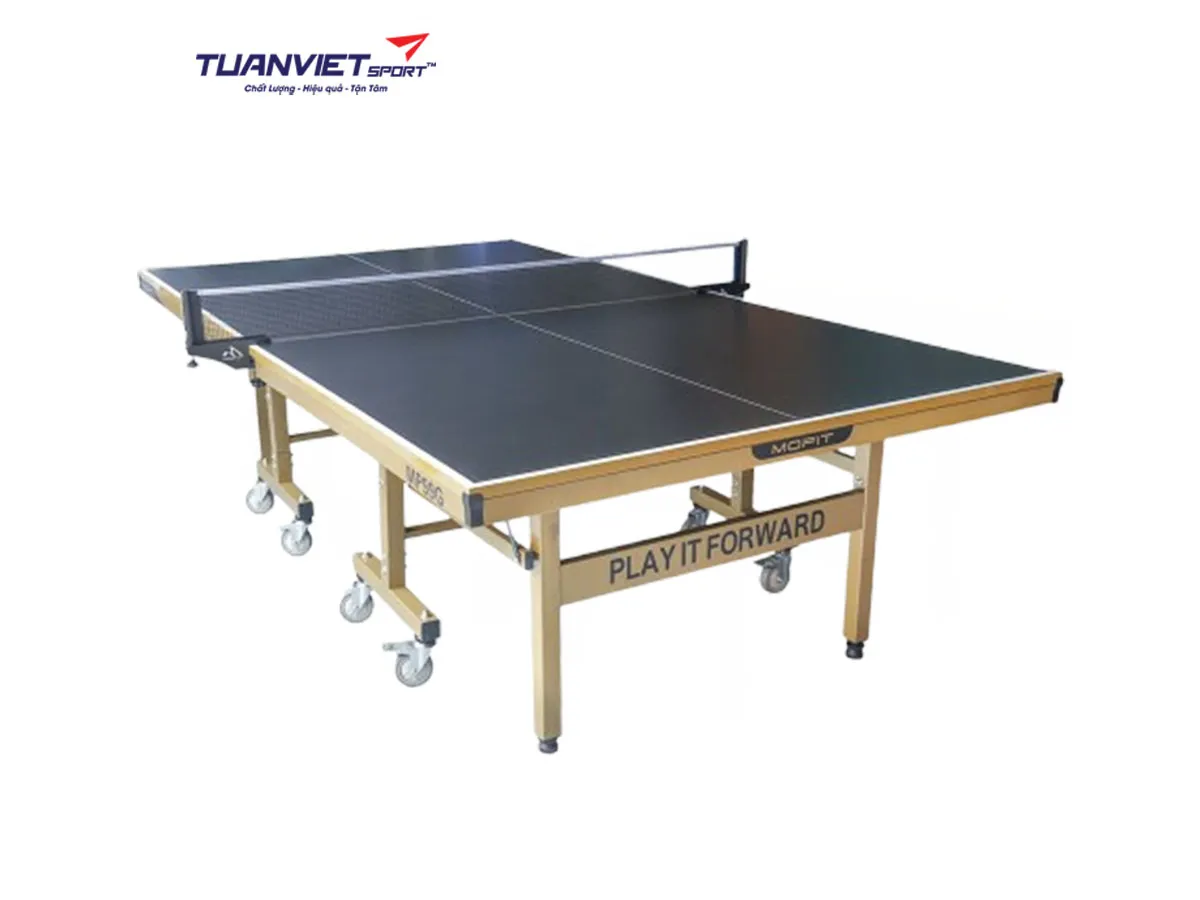 Bàn bóng bàn Double Fish MP99G