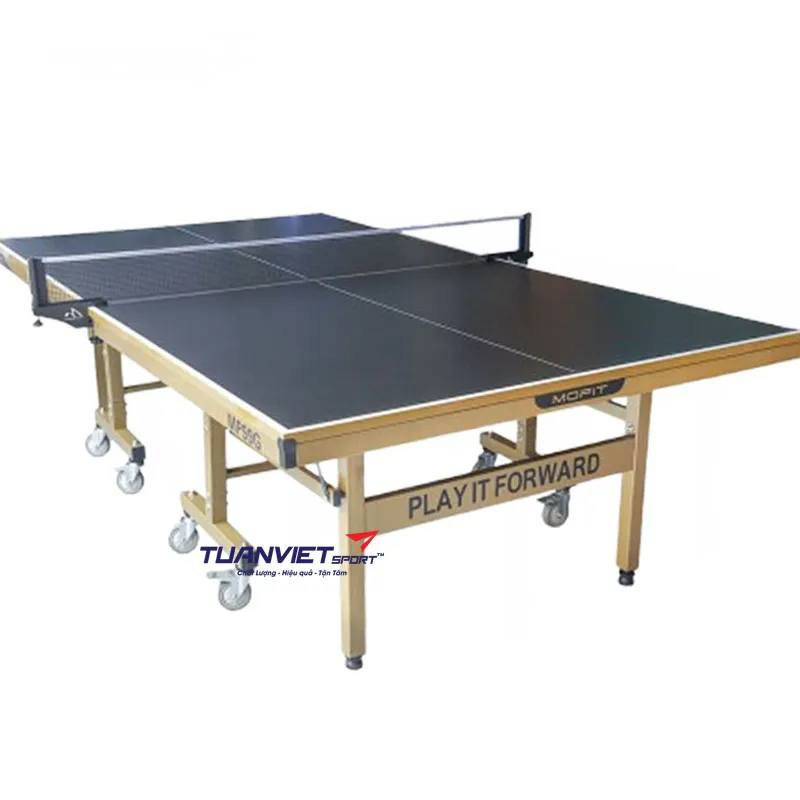 Bàn bóng bàn Double Fish MP99G