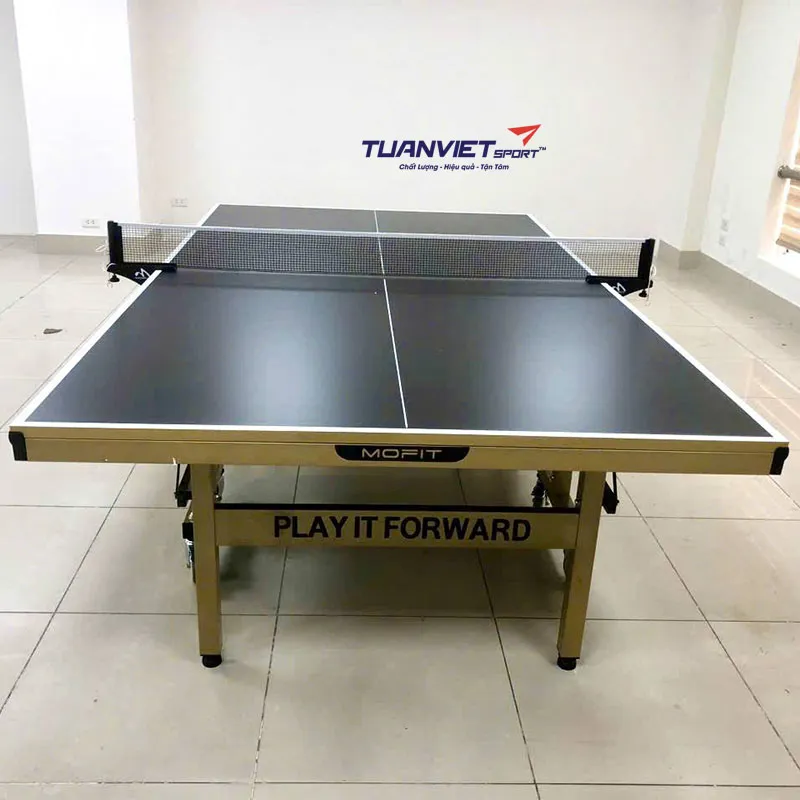 Bàn bóng bàn Double Fish MP99G
