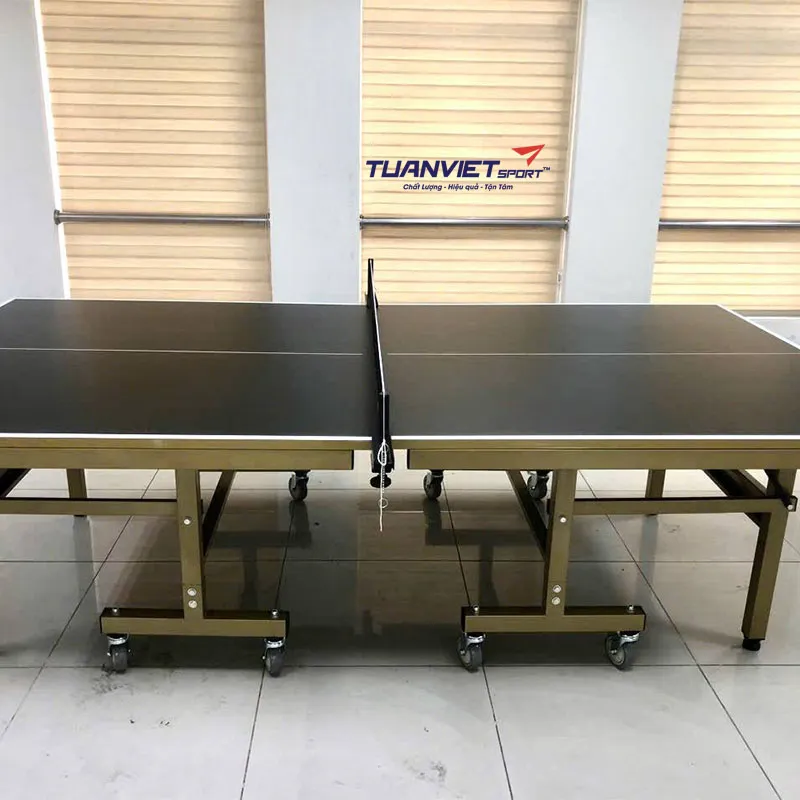 Bàn bóng bàn Double Fish MP99G