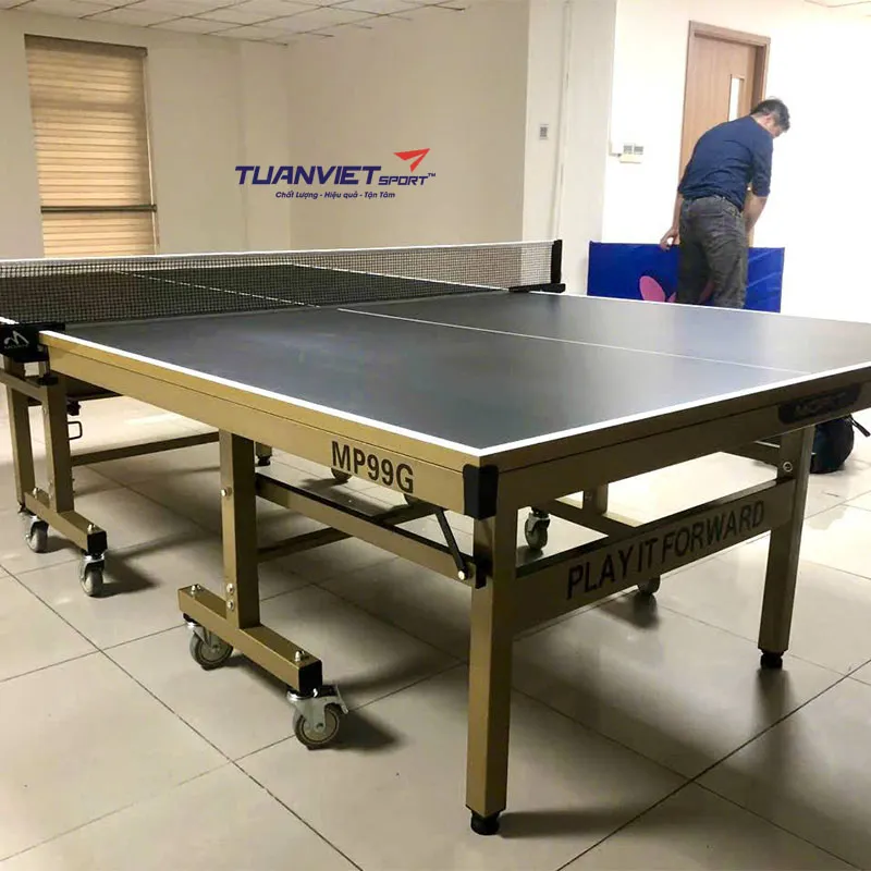 Bàn bóng bàn Double Fish MP99G