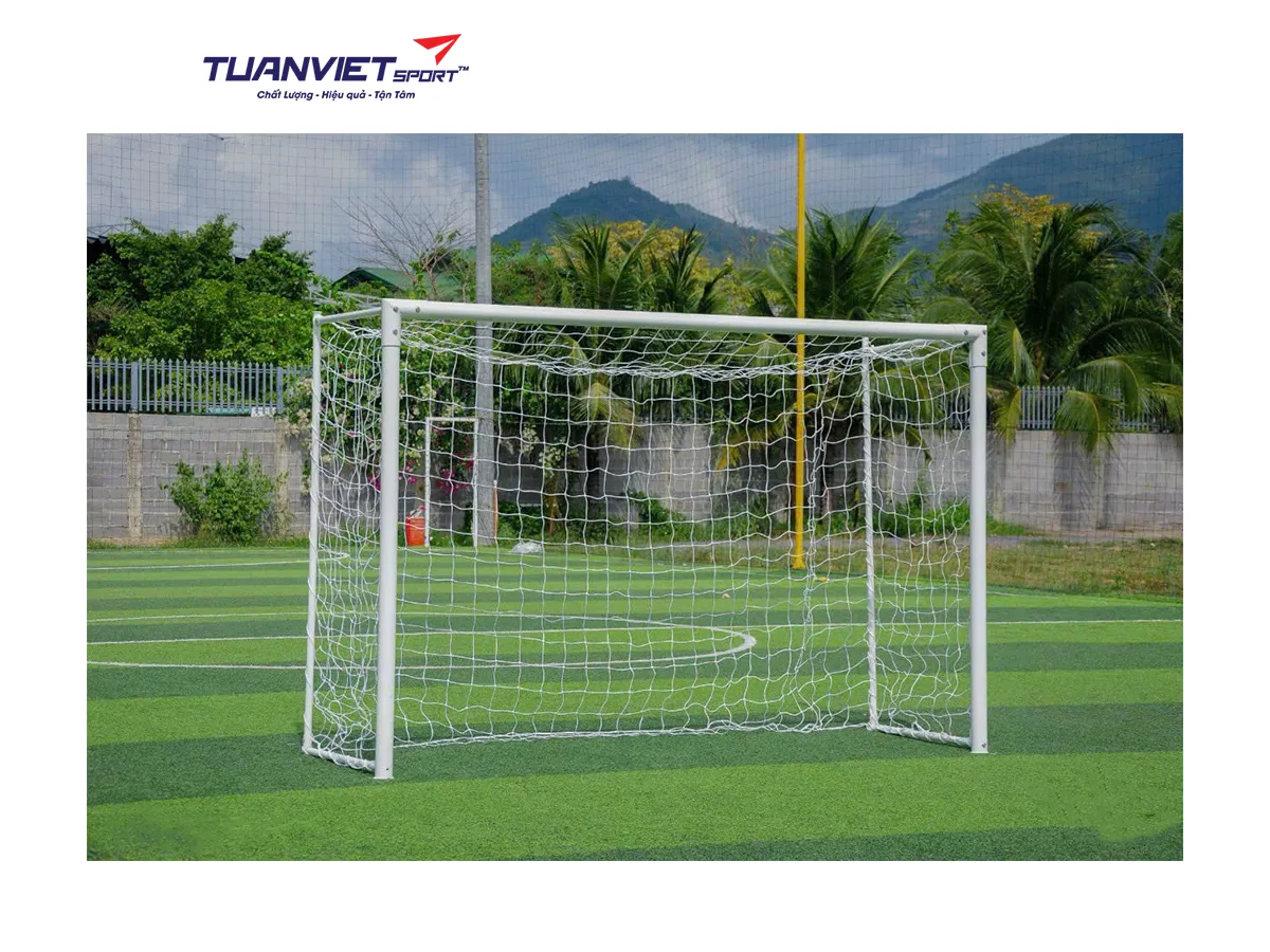 Khung thành bóng đá Vifa Sport 102622