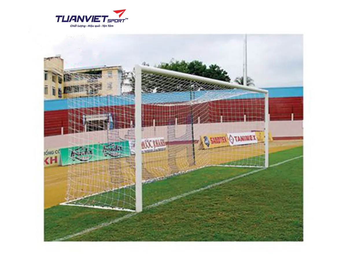 Khung thành bóng đá Vifa Sport 103667