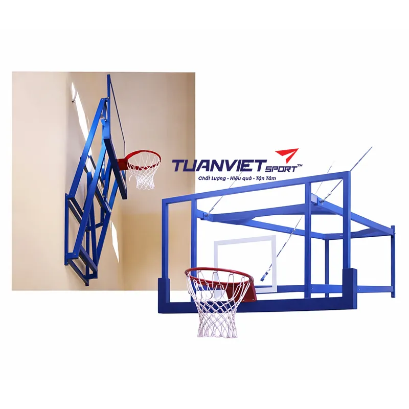 Bảng rổ treo tường Vifa Sport 802465