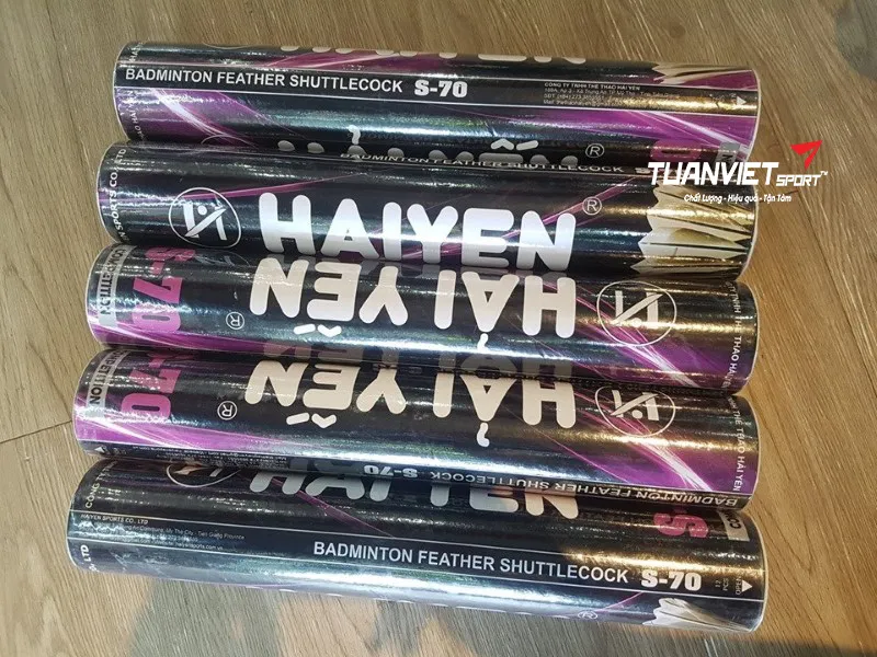 H&igrave;nh ảnh thực tế của Cầu l&ocirc;ng Hải Yến S70