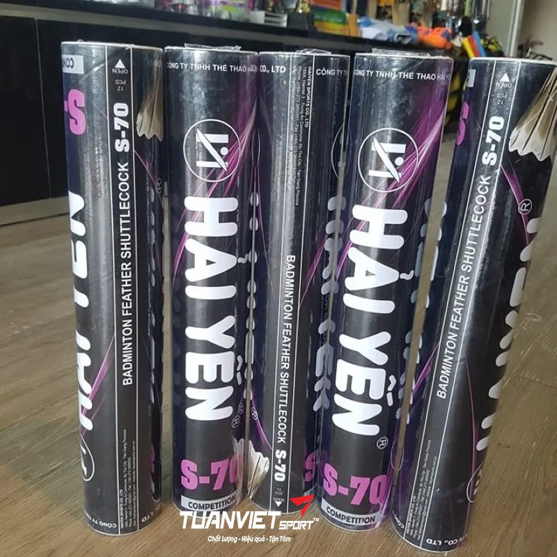 H&igrave;nh ảnh thực tế của Cầu l&ocirc;ng Hải Yến S70