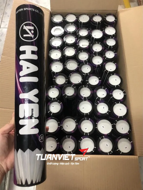 H&igrave;nh ảnh thực tế của Cầu l&ocirc;ng Hải Yến S70