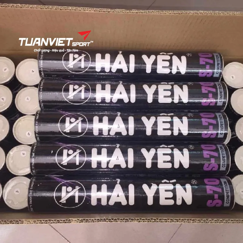 H&igrave;nh ảnh thực tế của Cầu l&ocirc;ng Hải Yến S70