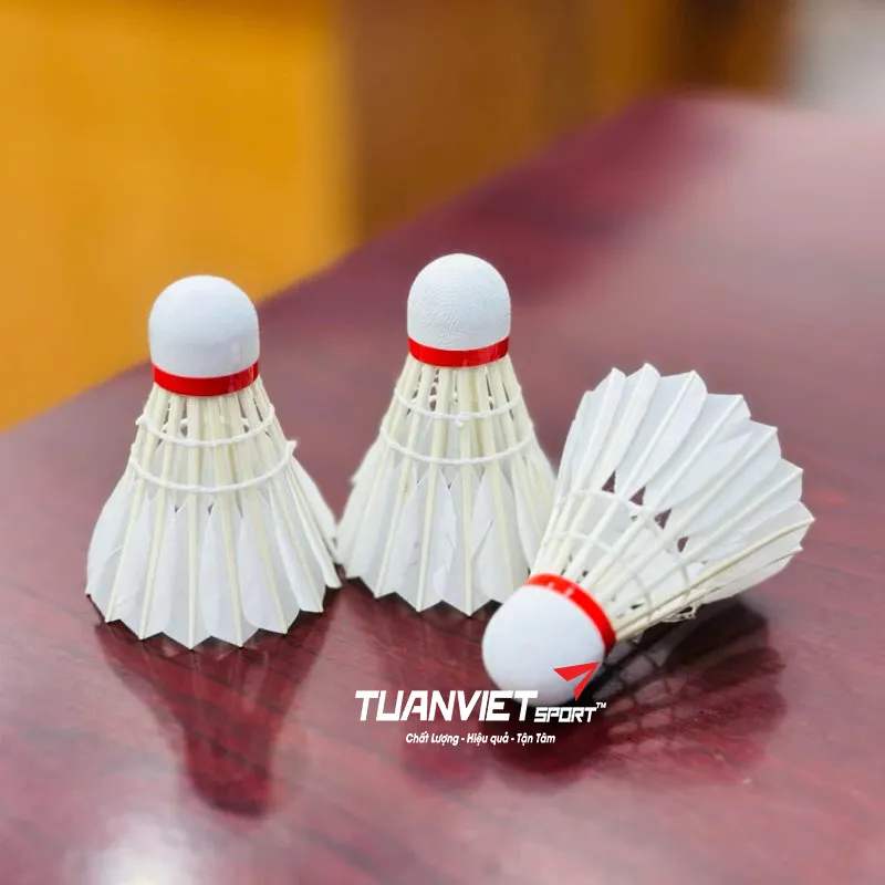 Quả cầu l&ocirc;ng Th&agrave;nh C&ocirc;ng v&agrave;ng