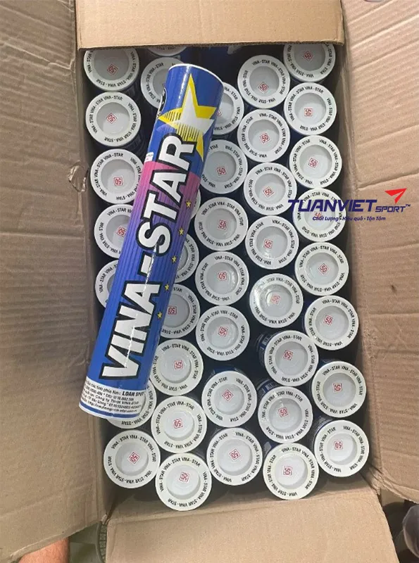 h&igrave;nh ảnh thực tế của Quả cầu l&ocirc;ng Vina Star