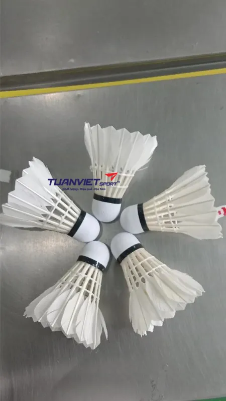 h&igrave;nh ảnh thực tế của Quả cầu l&ocirc;ng Vina Star