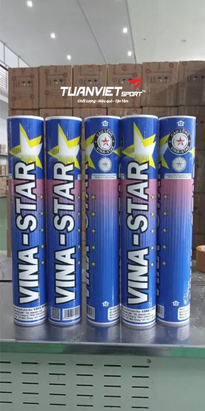 h&igrave;nh ảnh thực tế của Quả cầu l&ocirc;ng Vina Star