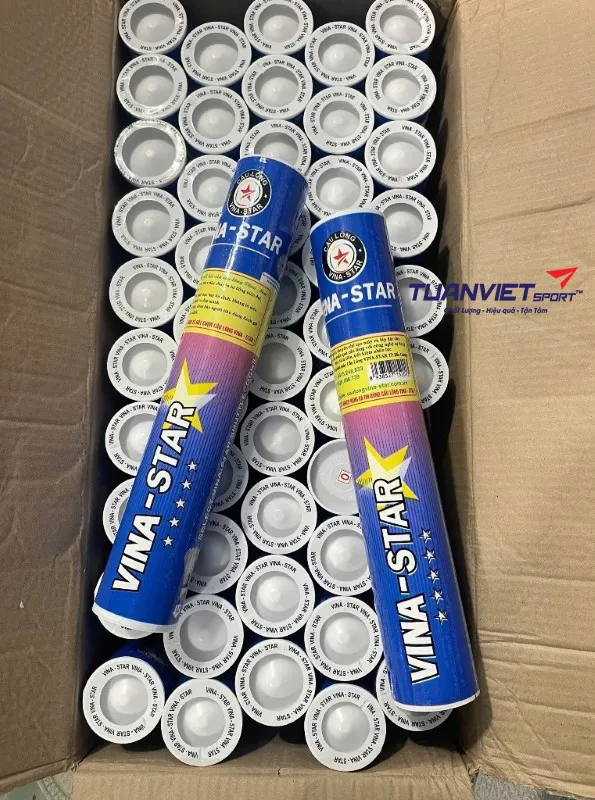 h&igrave;nh ảnh thực tế của Quả cầu l&ocirc;ng Vina Star