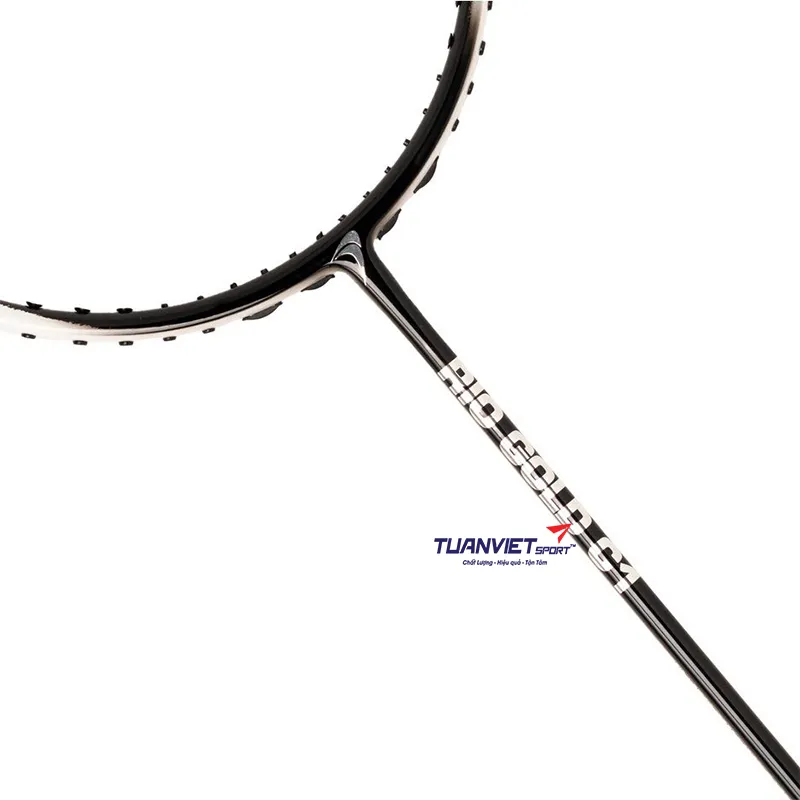 Vợt cầu l&ocirc;ng Flypower Rio Gold C1