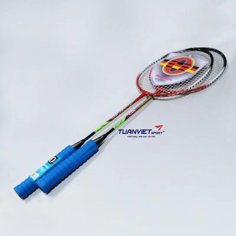 Vợt cầu l&ocirc;ng Haotian HT-309