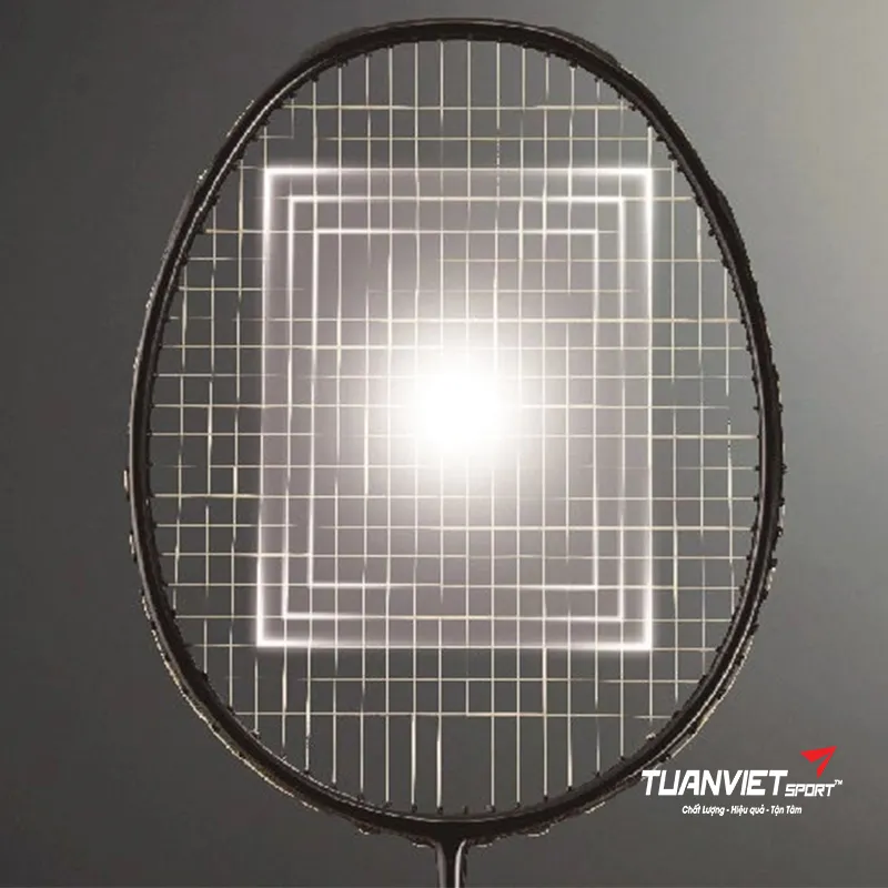 Vợt cầu l&ocirc;ng Proace Stroke 316&nbsp;