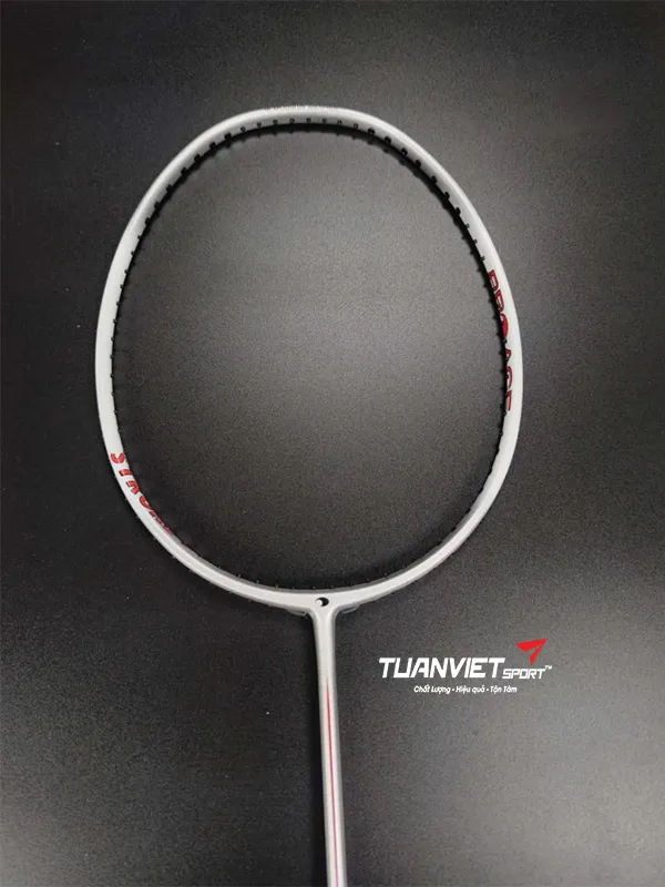 Vợt cầu l&ocirc;ng Proace Stroke 318