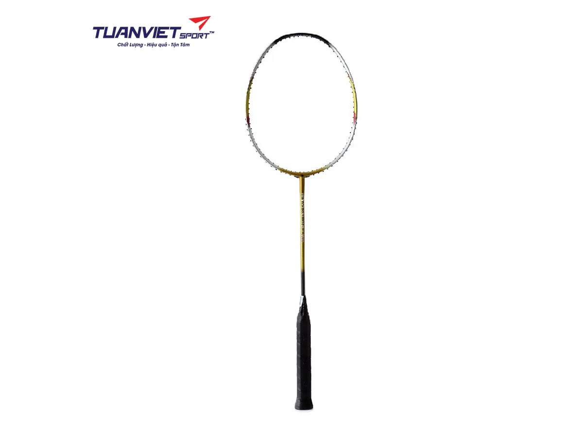 Vợt cầu lông Proace SweetSpot 3000