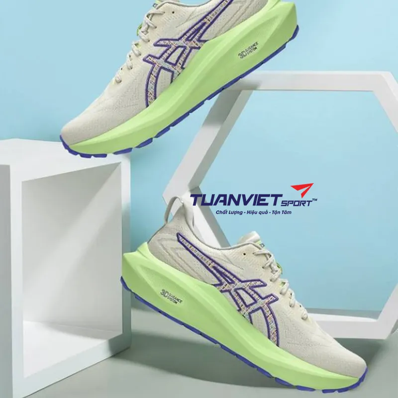 Giày Chạy Bộ Nam Asics GT-2000 13 TR 1011C042-300