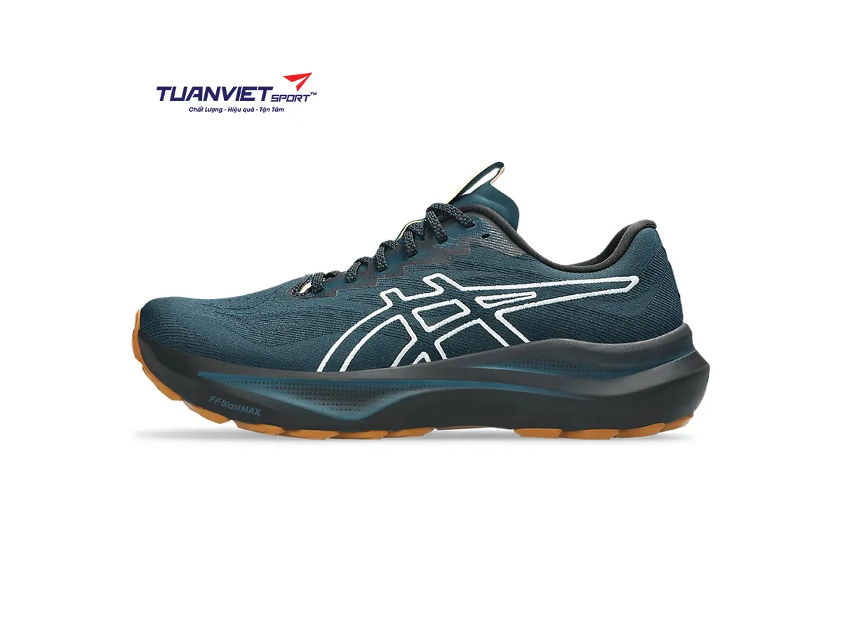Giày Chạy Bộ Nam Asics GT-2000 14 TR 1011C129-300