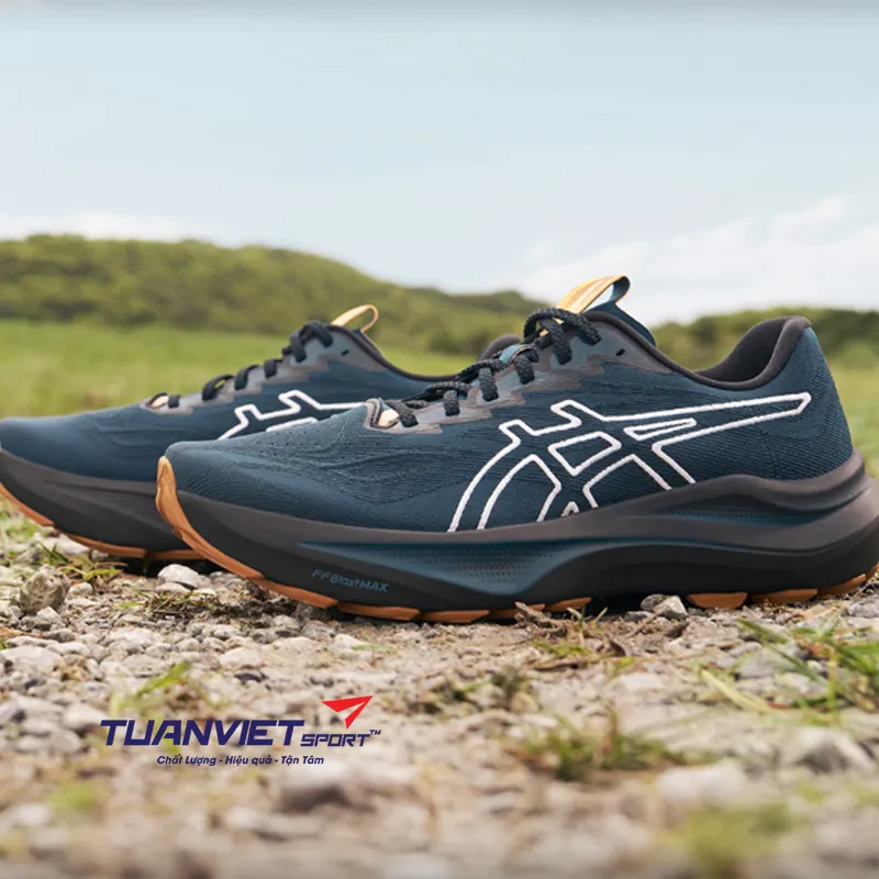 Giày Chạy Bộ Nam Asics GT-2000 14 TR 1011C129-300