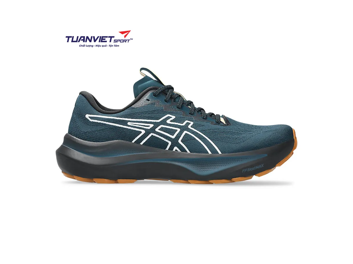 Giày Chạy Bộ Nam Asics GT-2000 14 TR 1011C129-300