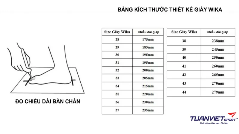 Gi&agrave;y Pickleball Wika Ruta Quang Dương