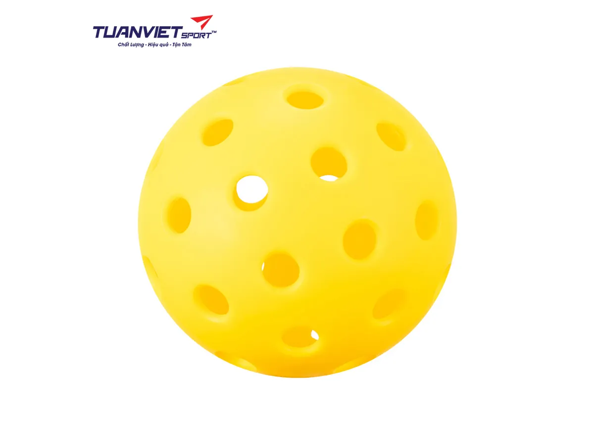 Set Vợt Pickleball JOOLA Dash