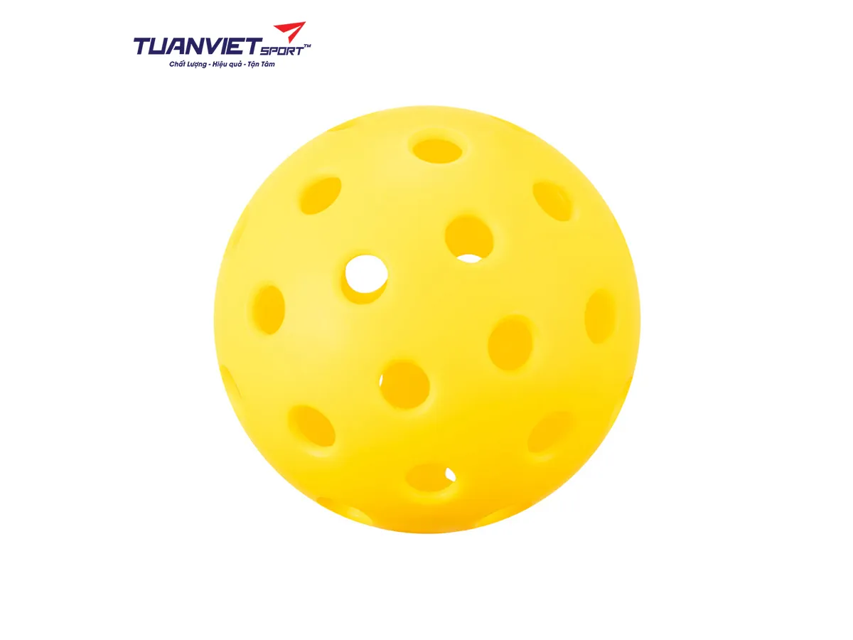 Set Vợt Pickleball JOOLA Dash