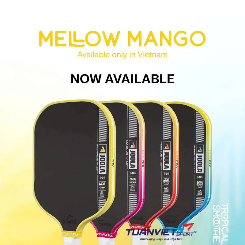 Vợt Pickleball Joola Pro IV - VietNam Colorway