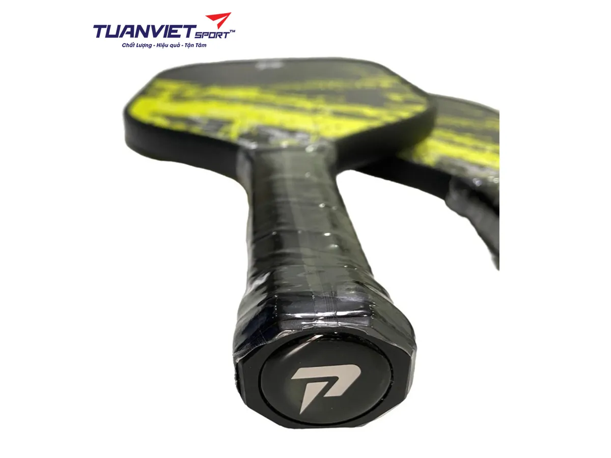 Vợt Pickleball Passion Hybrid H102