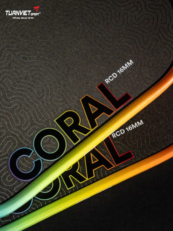 Vợt Pickleball Six Zero Coral Rainbow Limited Edition