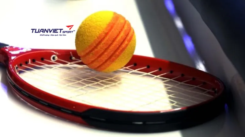 B&oacute;ng TYPTI OLO