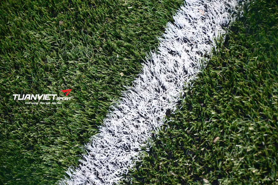 cách vẽ sân bóng đá