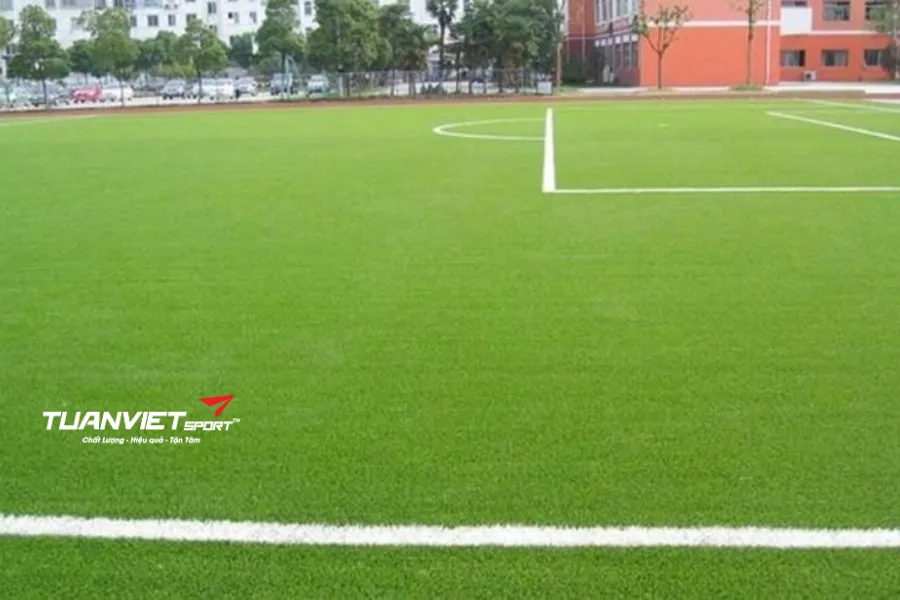 cấu tạo mặt sân bóng đá cỏ tự nhiên