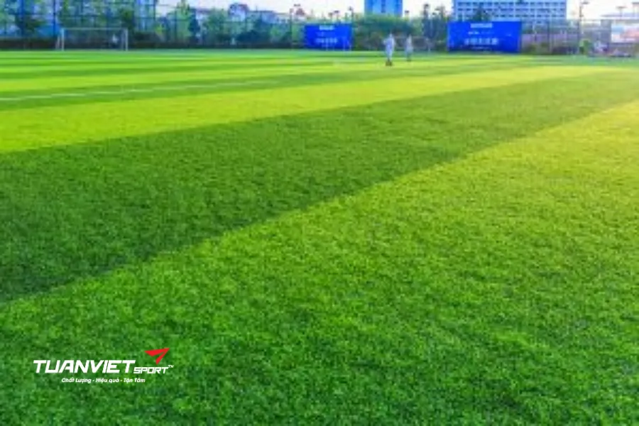 diện tích sân bóng đá 11 người