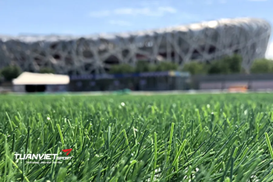 diện tích sân bóng đá 11 người