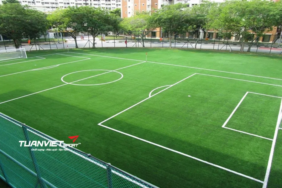 k&iacute;ch thước s&acirc;n b&oacute;ng đ&aacute; 7 người