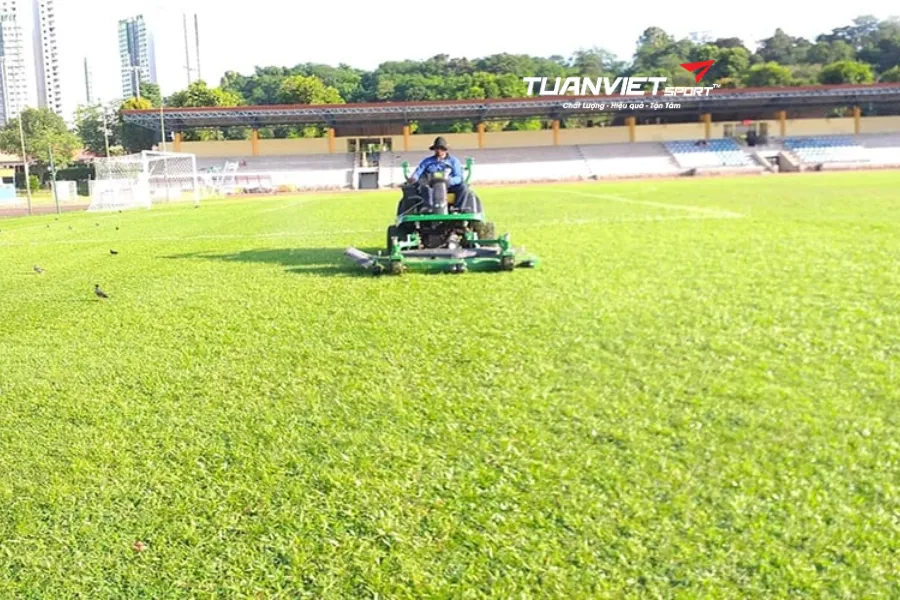 thi công sân bóng đá cỏ tự nhiên