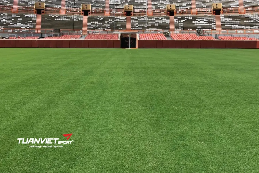 thi công sân bóng đá cỏ tự nhiên