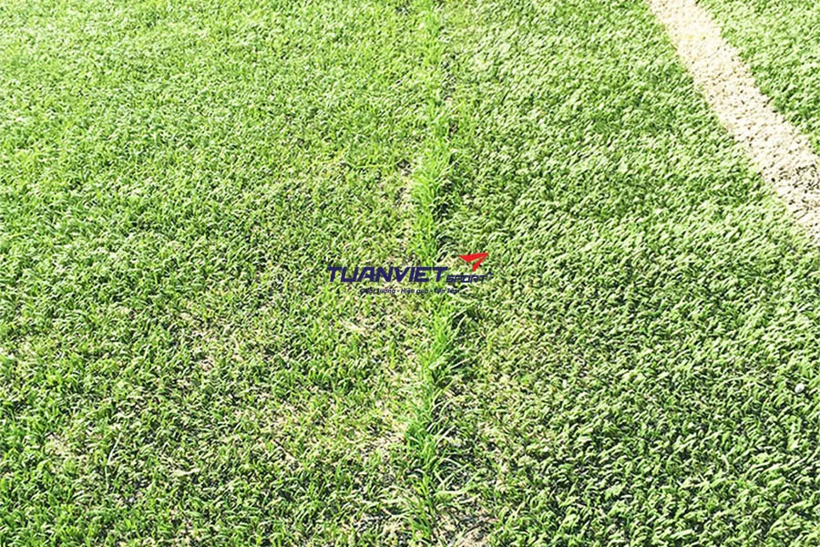 C&aacute;c lỗi thi c&ocirc;ng s&acirc;n b&oacute;ng cỏ nh&acirc;n tạo khiến s&acirc;n nhanh xuống cấp