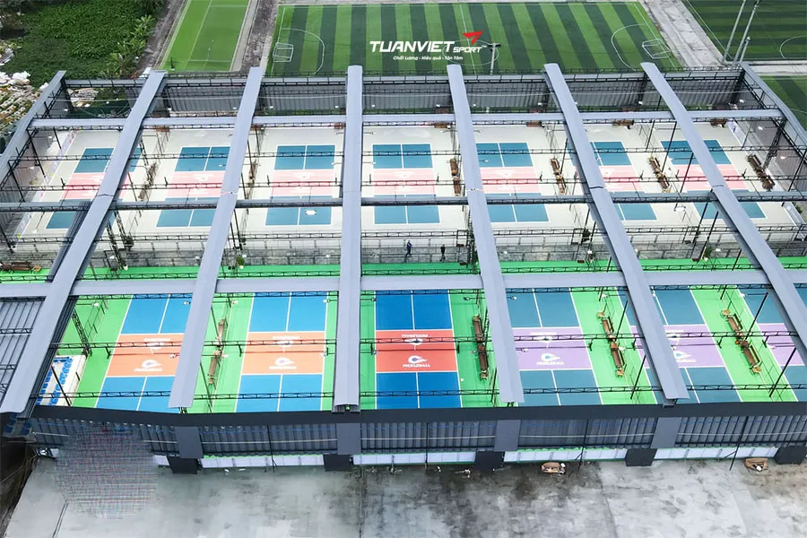 Top những màu sân pickleball đẹp và phổ biến hiện nay