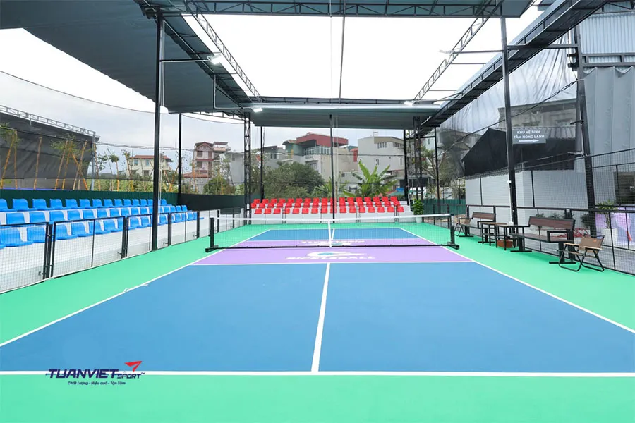 Top những màu sân pickleball đẹp và phổ biến hiện nay