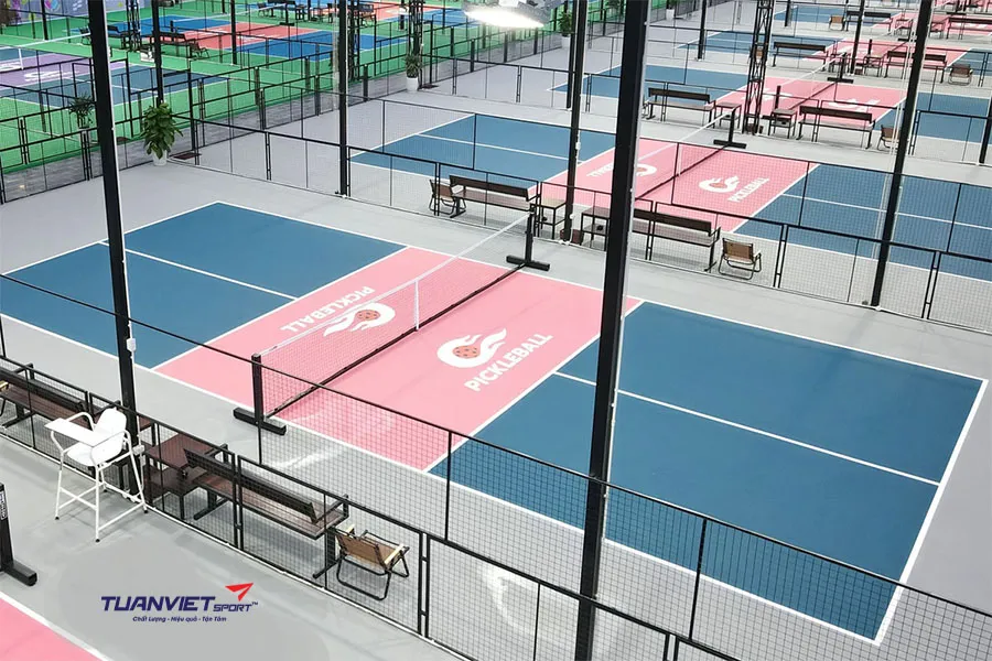 Top những màu sân pickleball đẹp và phổ biến hiện nay